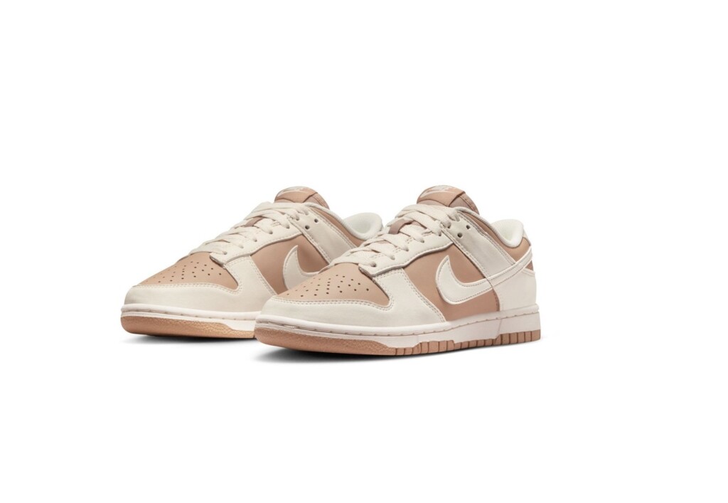 Pantofi Nike W Dunk Low Next Nature DD1873-200