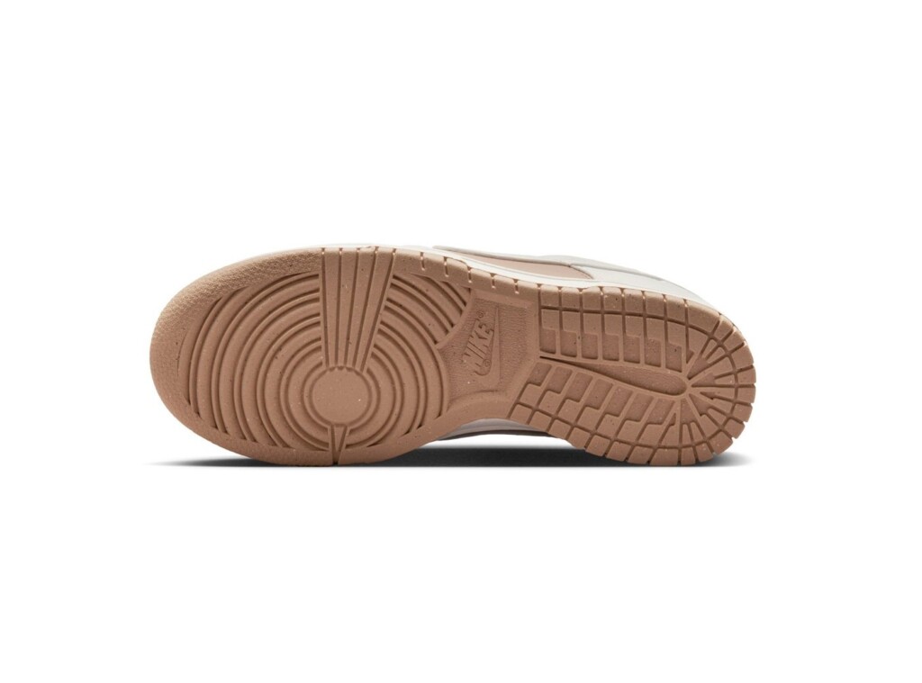 Pantofi Nike W Dunk Low Next Nature DD1873-200