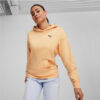 Hanorac puma better essentials hoodie tr 675988-45