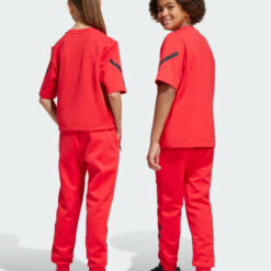 Pantaloni adidas j z. N. E. Pt jd0008