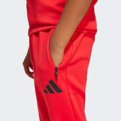 Pantaloni adidas j z. N. E. Pt jd0008