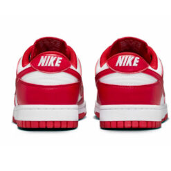 Pantofi Nike w nike dunk low next nature dd1873-116