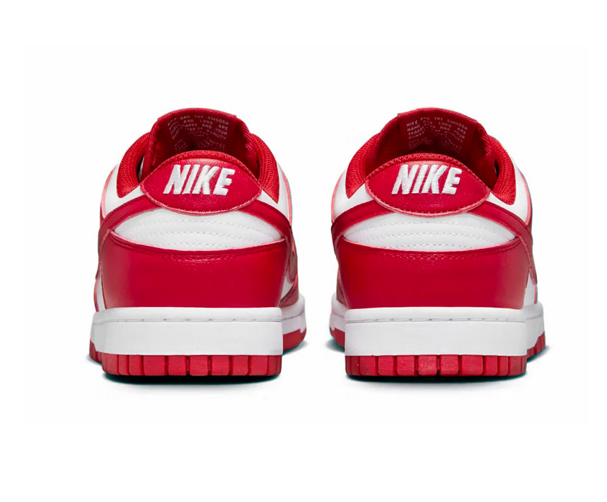 Pantofi Nike w nike dunk low next nature dd1873-116