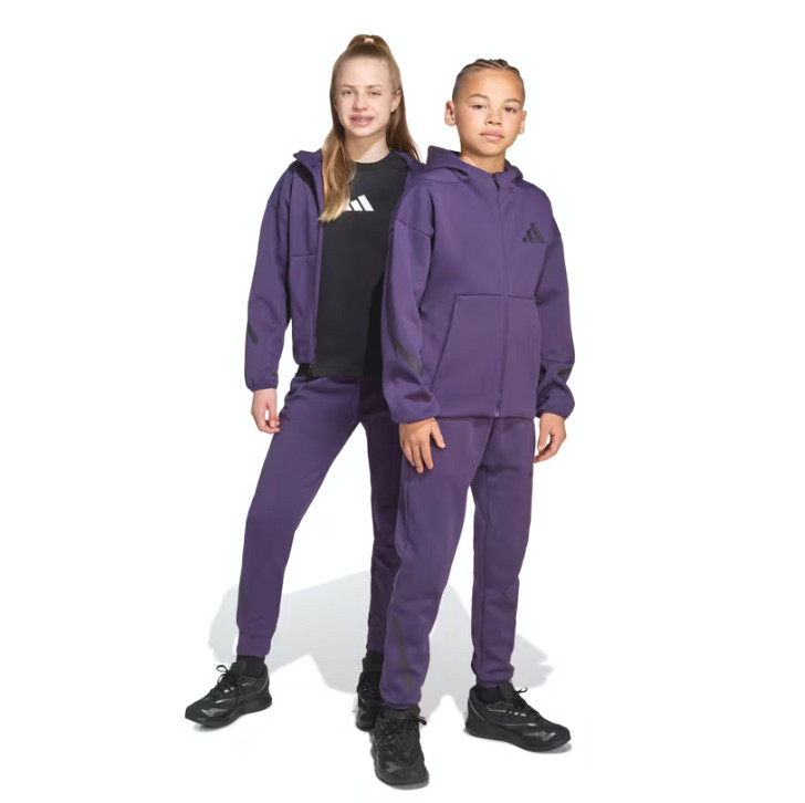 Pantaloni adidas j z. N. E. Pt jw2429