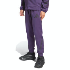 Pantaloni adidas j z. N. E. Pt jw2429