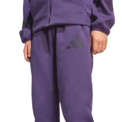 Pantaloni adidas j z. N. E. Pt jw2429